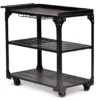 Sherlock Rolling Server Cart -Home Furniture Store 810423041 2