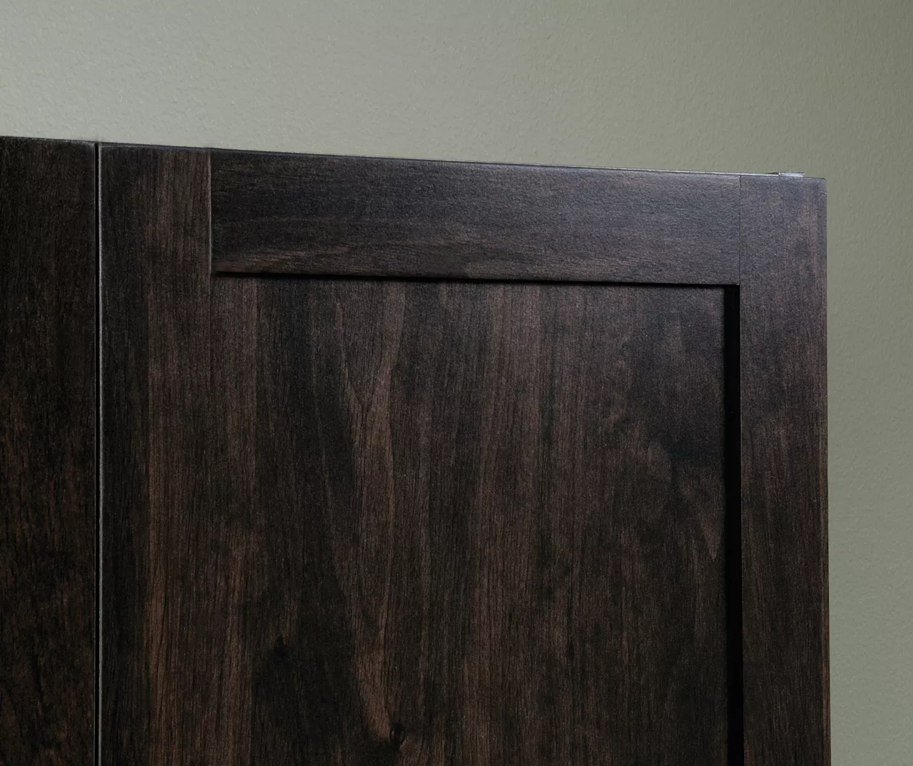 Sauder 2-Door Storage Cabinet Sauder 2-Door Storage Cabinet -Home Furniture Store 810610207 A0 3