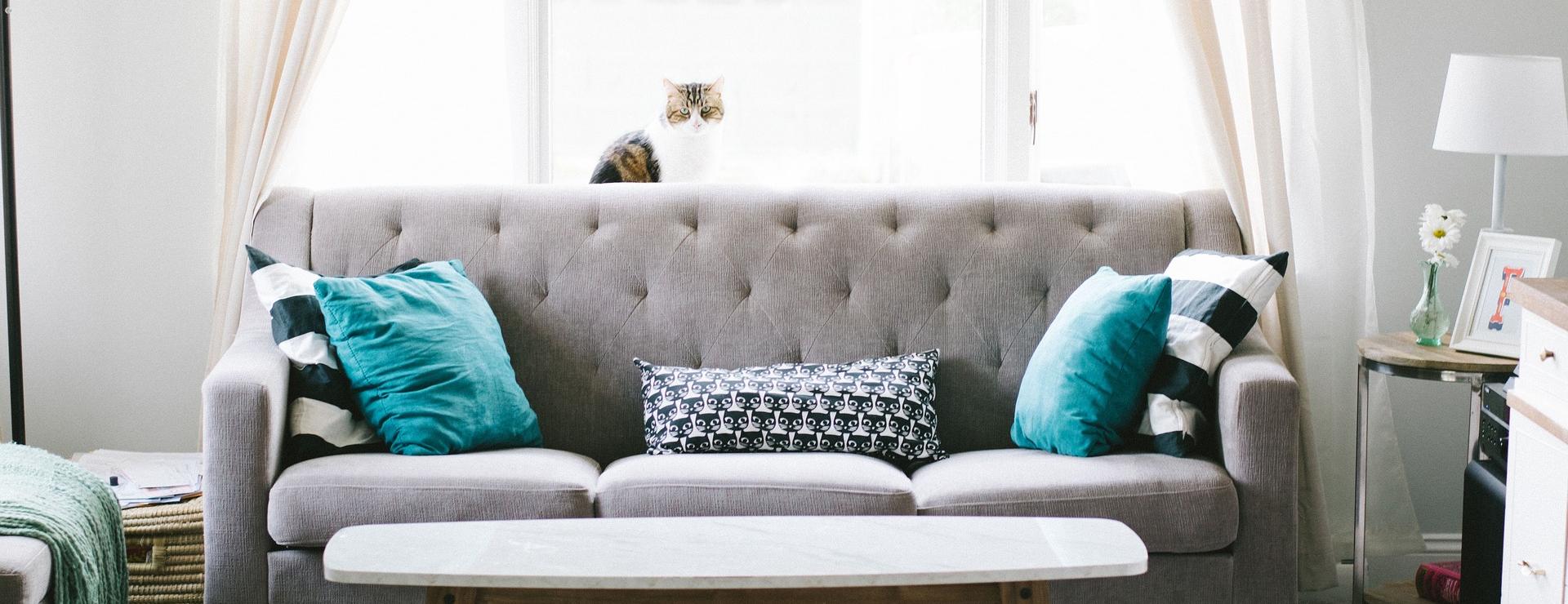 Home Furniture Store -Home Furniture Store living room 2569325 1920